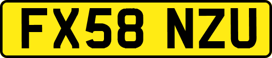 FX58NZU