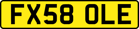 FX58OLE