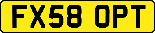 FX58OPT