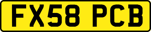 FX58PCB