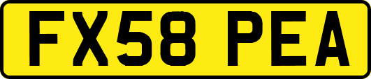 FX58PEA
