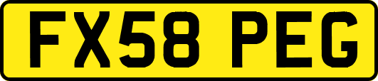 FX58PEG