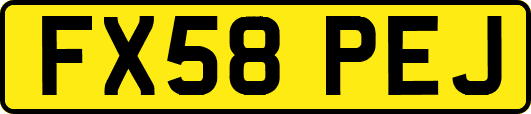 FX58PEJ
