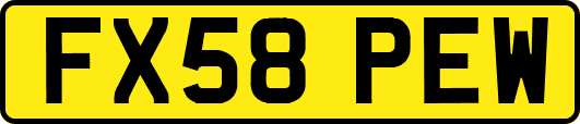 FX58PEW