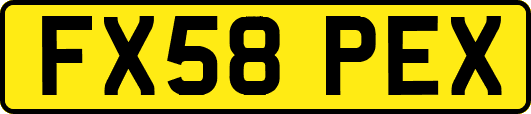 FX58PEX