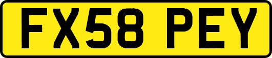 FX58PEY