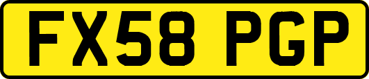 FX58PGP