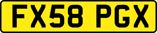 FX58PGX
