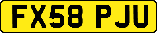 FX58PJU