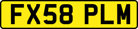 FX58PLM