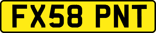 FX58PNT