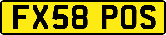 FX58POS