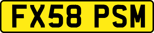 FX58PSM