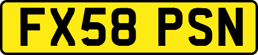 FX58PSN