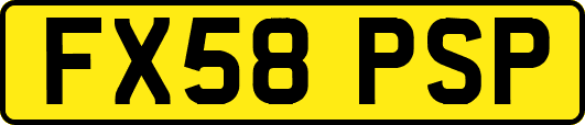 FX58PSP