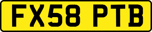 FX58PTB