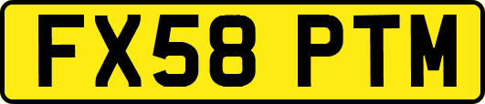 FX58PTM