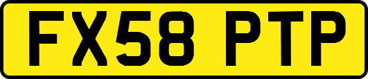 FX58PTP