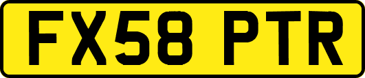 FX58PTR