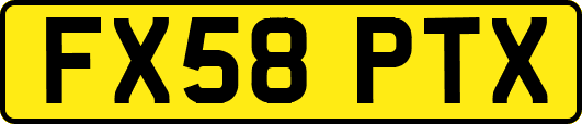 FX58PTX