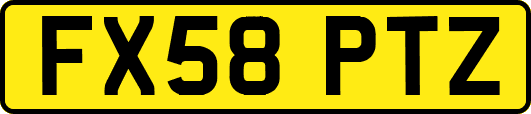 FX58PTZ