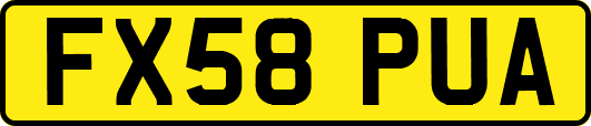 FX58PUA