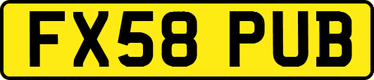 FX58PUB