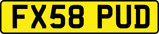 FX58PUD