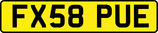 FX58PUE