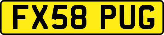 FX58PUG