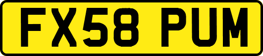 FX58PUM