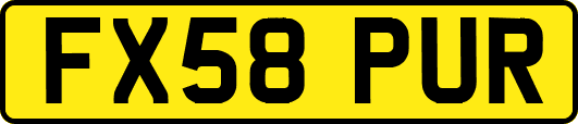 FX58PUR