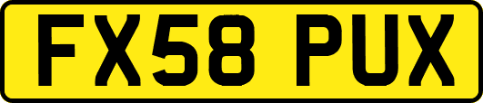FX58PUX