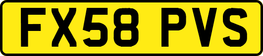 FX58PVS