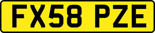 FX58PZE