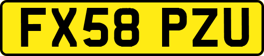 FX58PZU