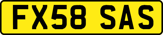 FX58SAS