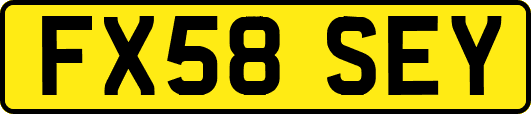 FX58SEY