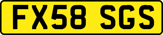 FX58SGS