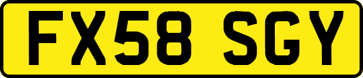 FX58SGY
