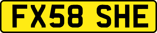 FX58SHE