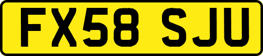 FX58SJU