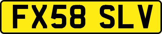 FX58SLV
