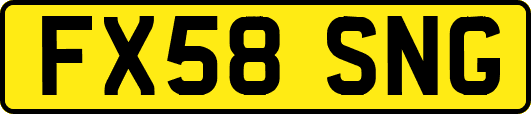 FX58SNG