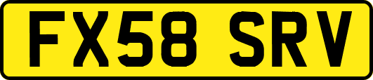 FX58SRV