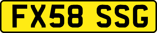 FX58SSG