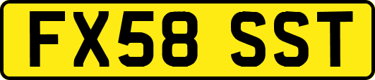 FX58SST