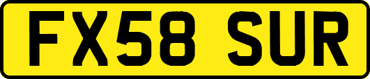 FX58SUR