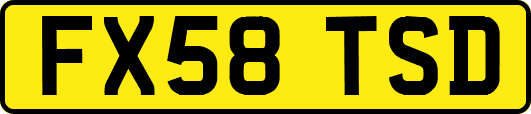 FX58TSD