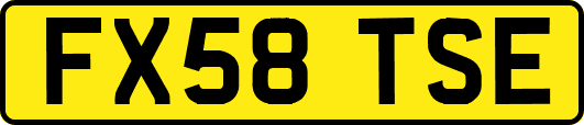 FX58TSE